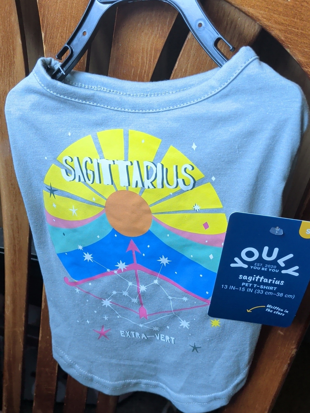 Sagittarius Graphic Pet Shirt